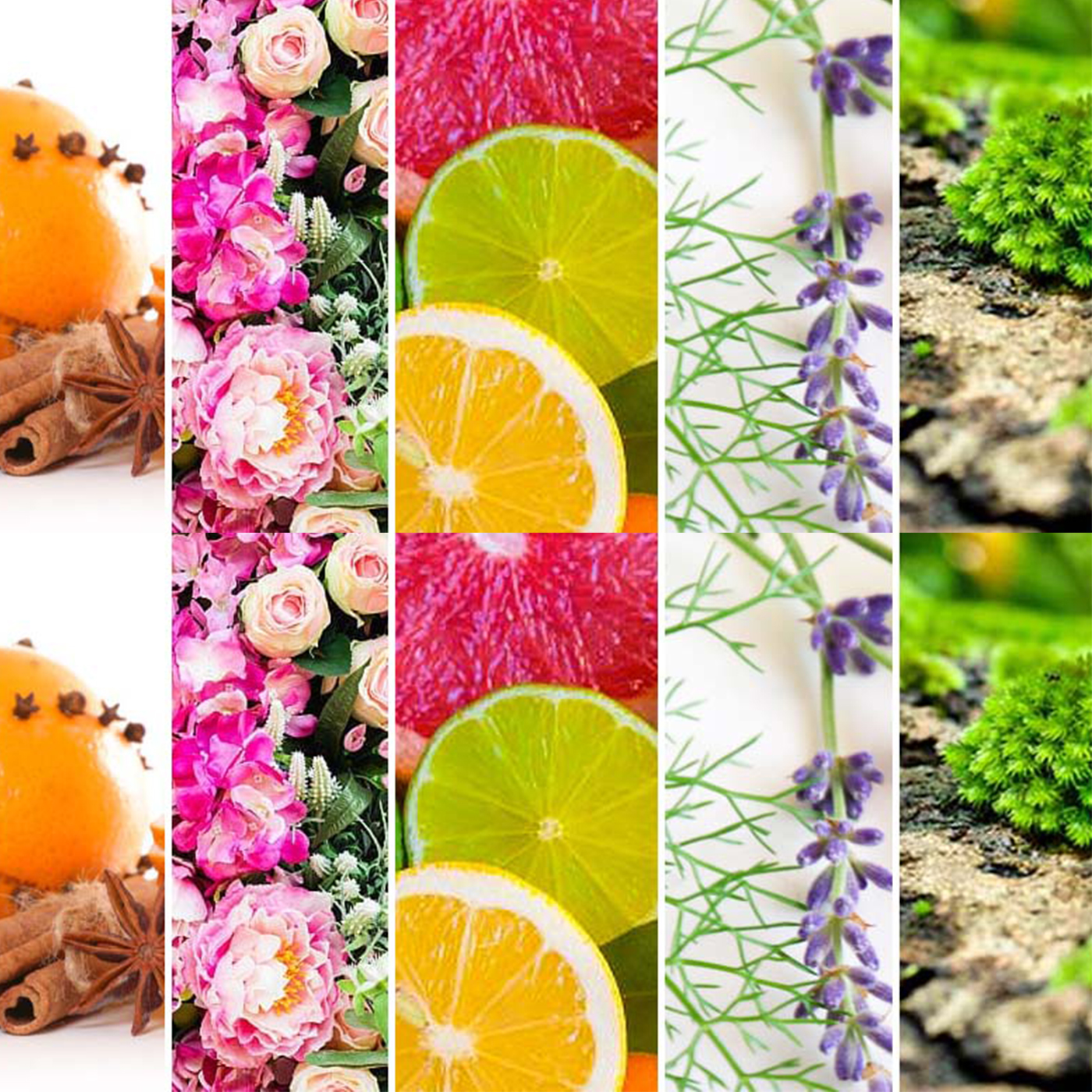 Familles olfactives Familles olfactives